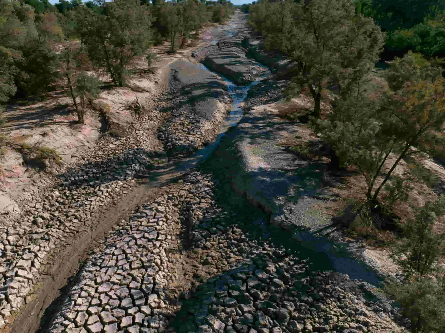 La sequía crónica deja tramos del río Grande completamente secos a su paso por Albuquerque