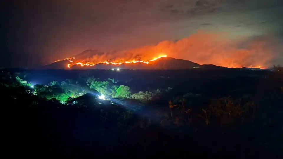 Modus operandi de incendios y mano negra en el sur y centro del Tolima