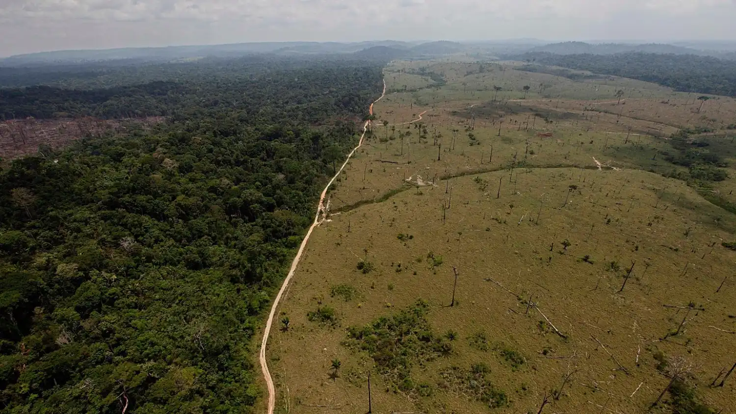 Cinco puntos de inflexión que podrían frenar la crisis climática en pleno 2026