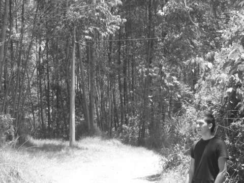 Free Track! Danniel Odell – flute´s (Original Mix)
