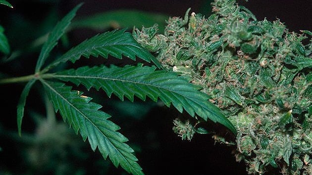 Drogas, ¿en el límite del bien y del mal?