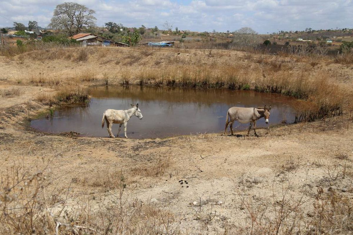 Escasez de agua en diversas partes de América Latina alerta a los observatorios