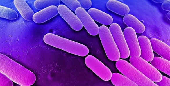 AMR: Anuncian desastres antibióticos