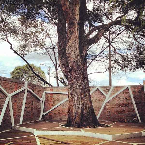 Baum el árbol Bogotano cierra su ciclo