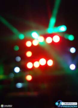 Fotoreportaje: GMID FREEDOM 2013