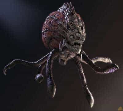 Los Pulpos son Extraterrestres