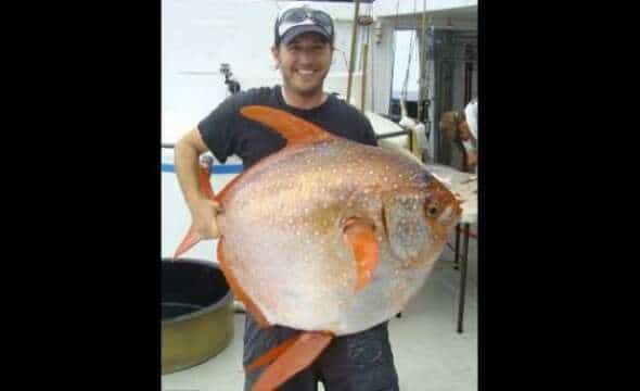 Encuentran el primer Pez con sangre Caliente del Mundo