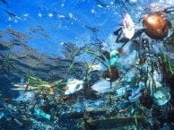 Reto para los humanos: isla de basura en el Pacífico. "Piensa globalmente, actúa localmente"