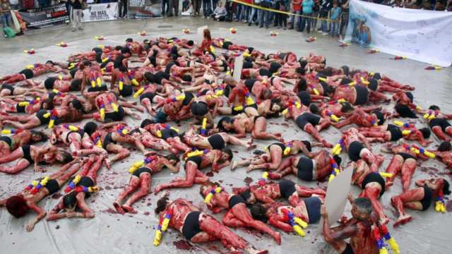 No habrá Temporada taurina de La Macarena de Medellín