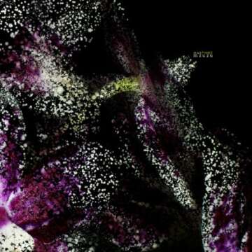 Cadenza tendrá de que alegrarse cuando el tribal fino de Martinez revuelva sus cabales.