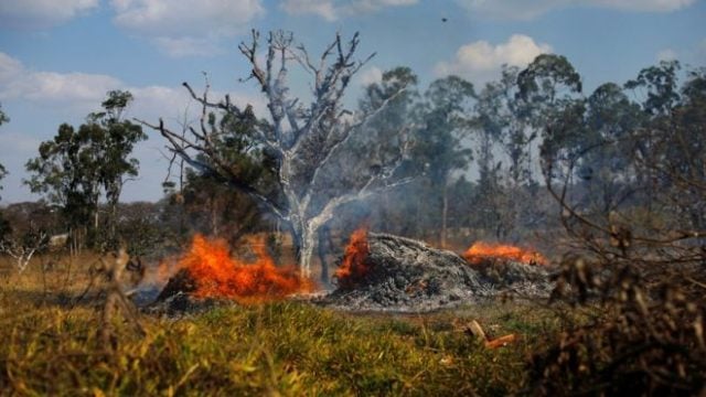AMAZONAS: Imágenes reales del colosal incendio en el pulmón del planeta