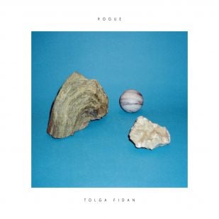 Vakant y el album de Tolga Fidan