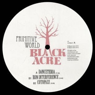 Primitive World – Danceteria