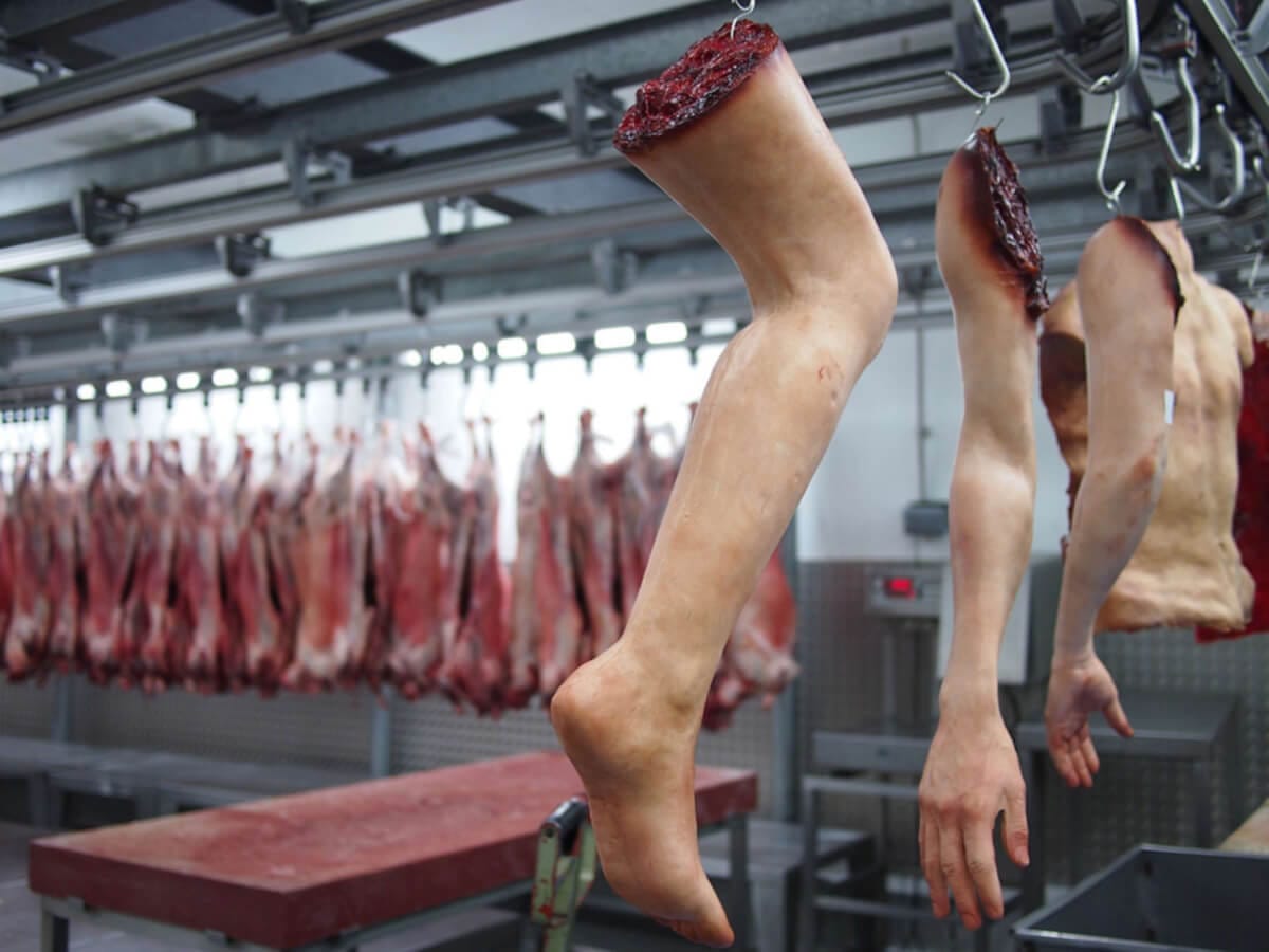El Amazonas está siendo destruido por la Carne