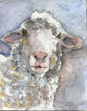 Alex Under regala la primera referencia de BeMySheep