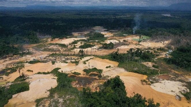¡Debemos actuar ya!: El Amazonas podría estar completamente destruido para 2064