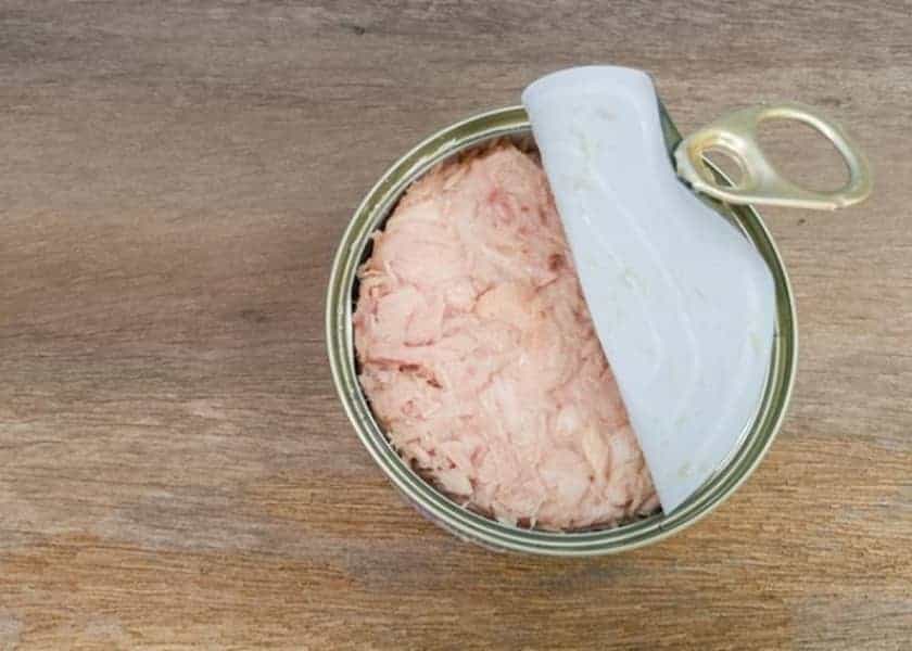 Se encuentra carne de delfín en latas de atún: Investigación lo confirma