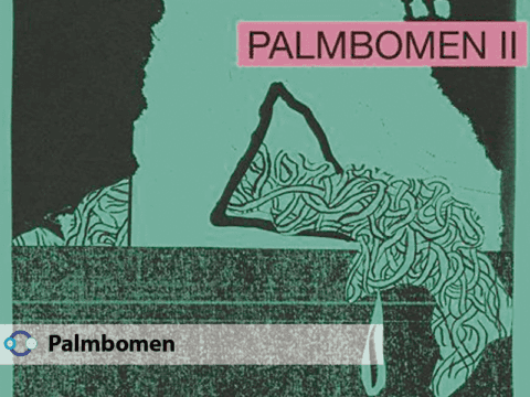 Disfruta los Snnipets del nuevo álbum de Palmbomen