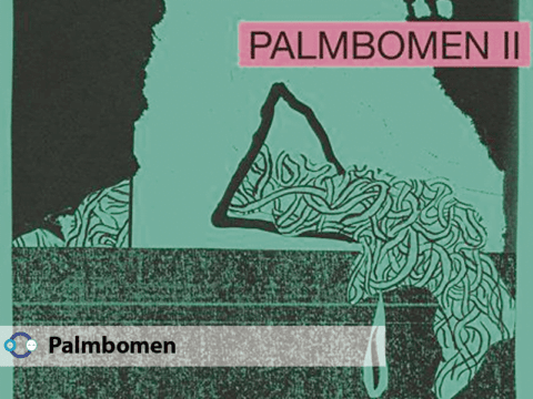 Disfruta los Snnipets del nuevo álbum de Palmbomen