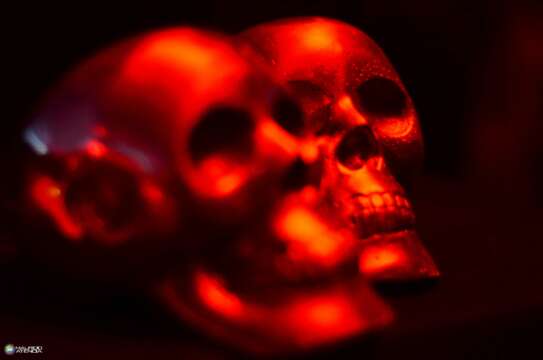 FotoReportaje: Thugfucker at El Deck – Medellín 2014