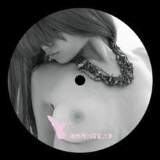 Andres Bucci & Someone Else en Hummingbird
