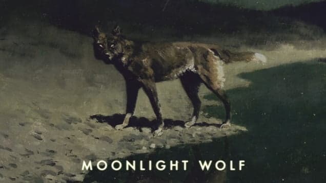 Henry Saiz y Reality Is For Those Who Are Not Strong Enough To Confront Their Dreams