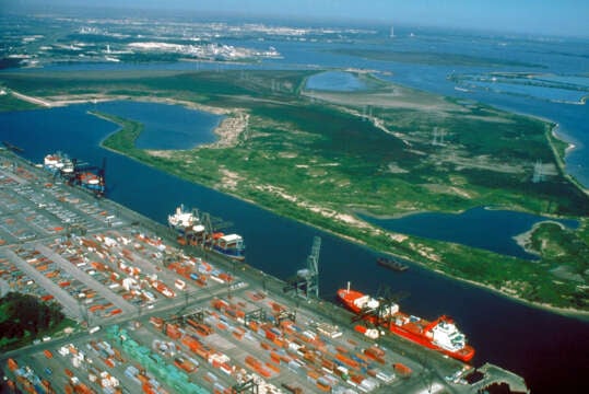 Barcos Petroleros llenos acumulados en la mitad del mar.
