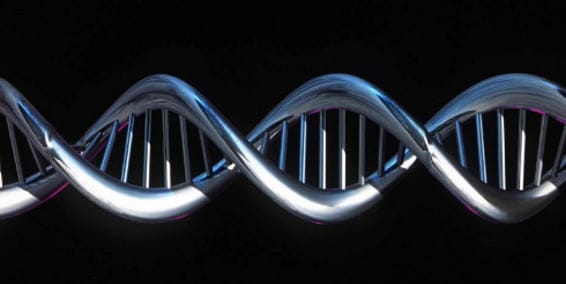 Científicos hacen nuevos descubrimientos del ADN