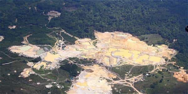 COLOMBIANO: ENVÍA TUS IDEAS AL MINISTERIO DE AMBIENTE CONTRA DE LA DEFORESTACIÓN , Hasta el 20 de Agosto