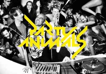 Party Animals by Cocoon Ibiza