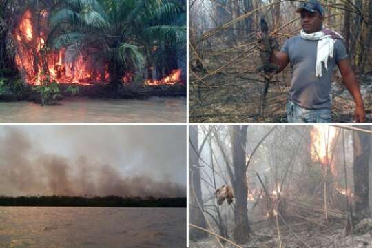 Arde el Chocó