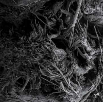 Las texturas de studio r°