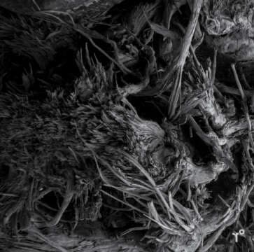 Las texturas de studio r°