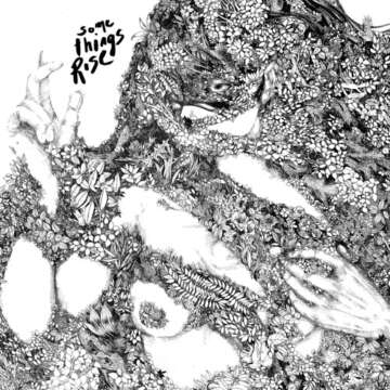 Life And Death: Some Things Rise