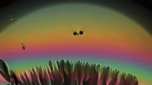 Listening: The xx – Sunset (Kim Ann Foxman Remix)