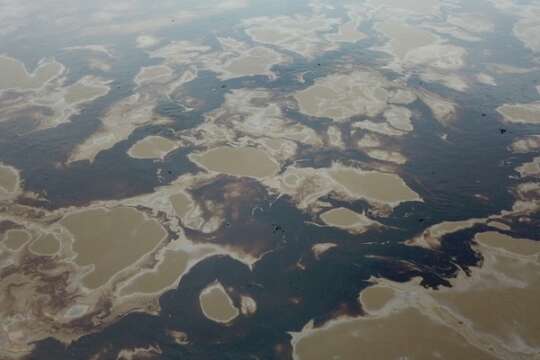 40 kilómetros de Crudo apareció en el río Magdalena