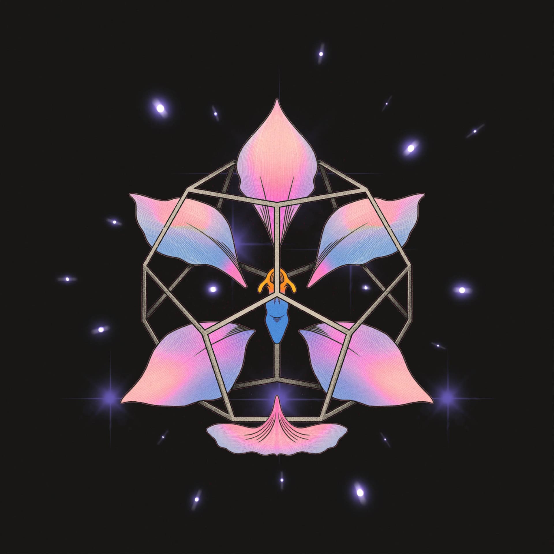 Monofonicos presenta nuevo lanzamiento de CYANEA