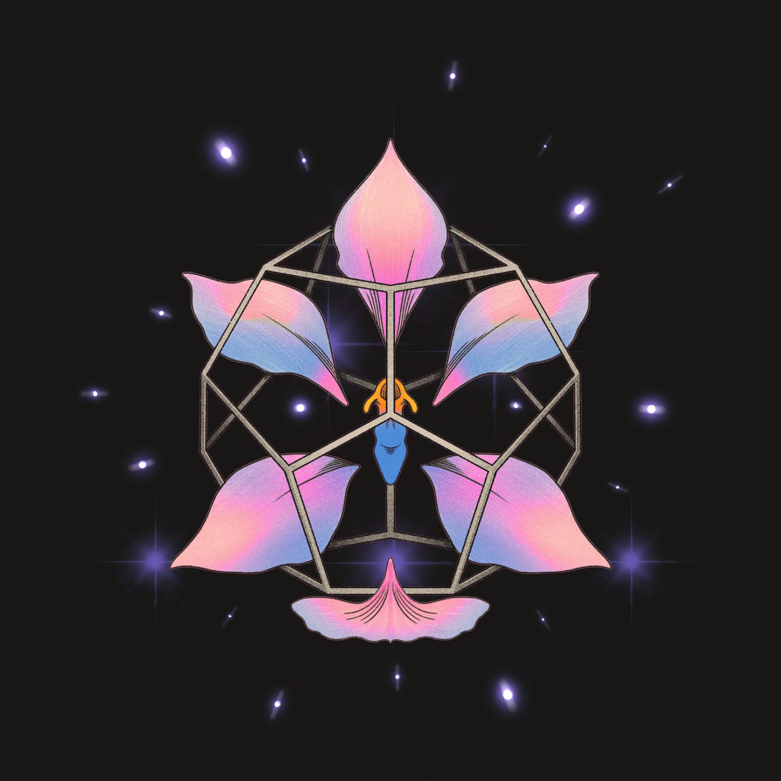 Monofonicos presenta nuevo lanzamiento de CYANEA