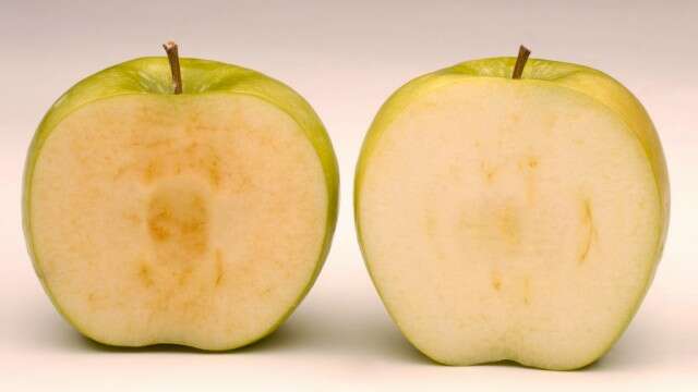 Cuidado? USA aprueba Manzanas genéticas que no se oxidan !