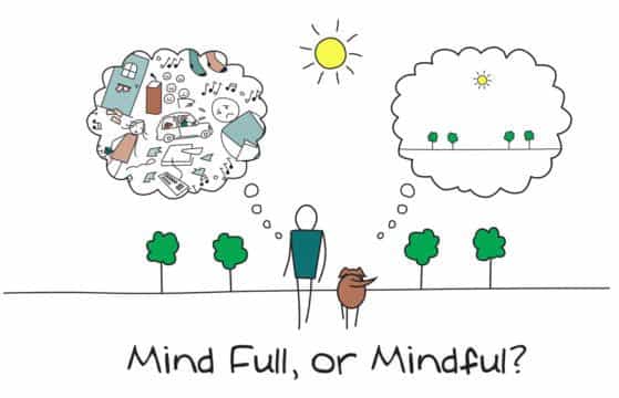 Mindfulness: Tu cerebro necesita estar en silencio…
