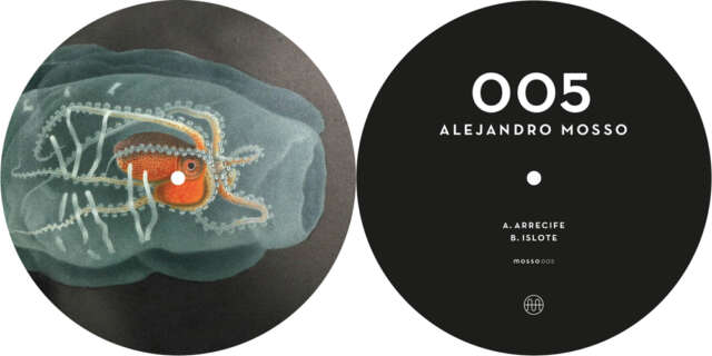 Alejandro Mosso – Mosso 05