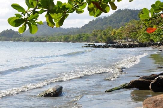 Necoclí: Ya sabías que Medellín va a quedar con Playa a 5 horas ?