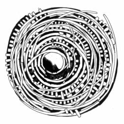 VA – Other Heights White Label 10