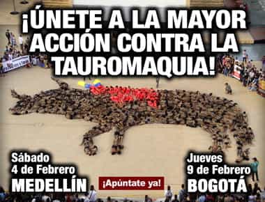 Ponte en la Piel del Toro en Bogotá y Medellín ¡Participa!