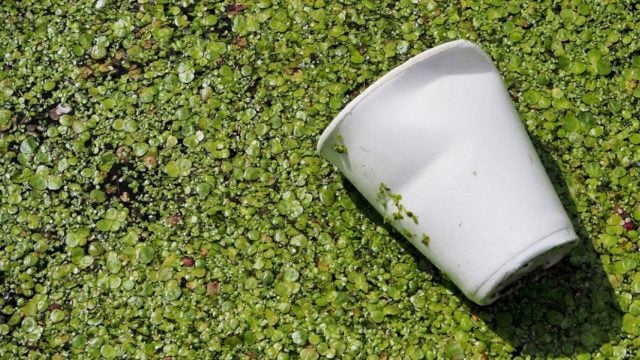 La historia del primer pueblo libre de Icopor en Colombia