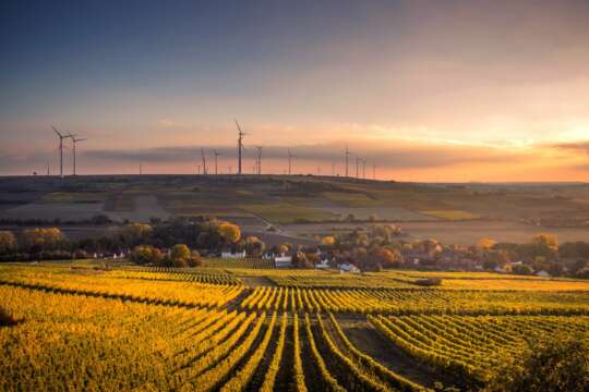 Las políticas urbanas contra el cambio climático evitarían 1,3 millones de muertes prematuras a 2030