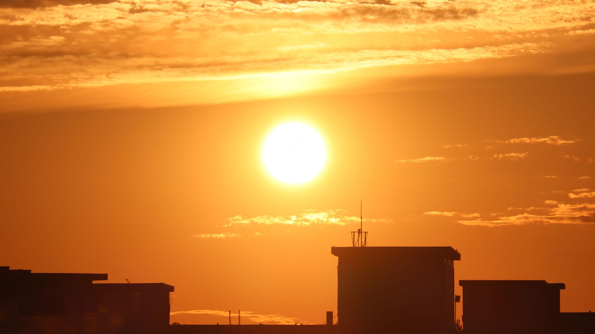 Cómo las altas temperaturas pueden fomentar la violencia