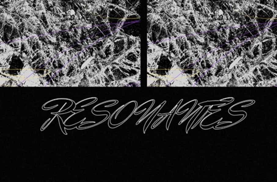 Pez Alado y Pildoras Tapes lanzan talleres gratuitos de producción para mujeres, personas trans y no binarias