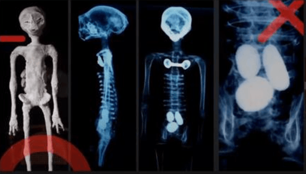Congreso de México presenta 2 cuerpos Extraterrestres a la Humanidad