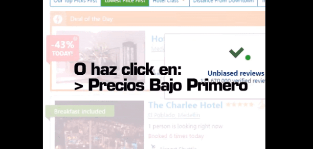 Tutorial: Necesitas Hospedaje para el Freedom desde 20.000 la Noche en Hostal hasta 500.000 en 5 Estrellas